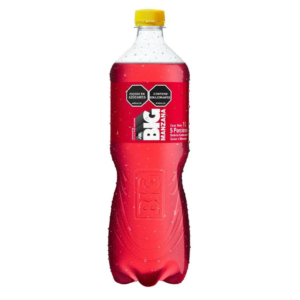 Gaseosa Big Cola 1L x uni